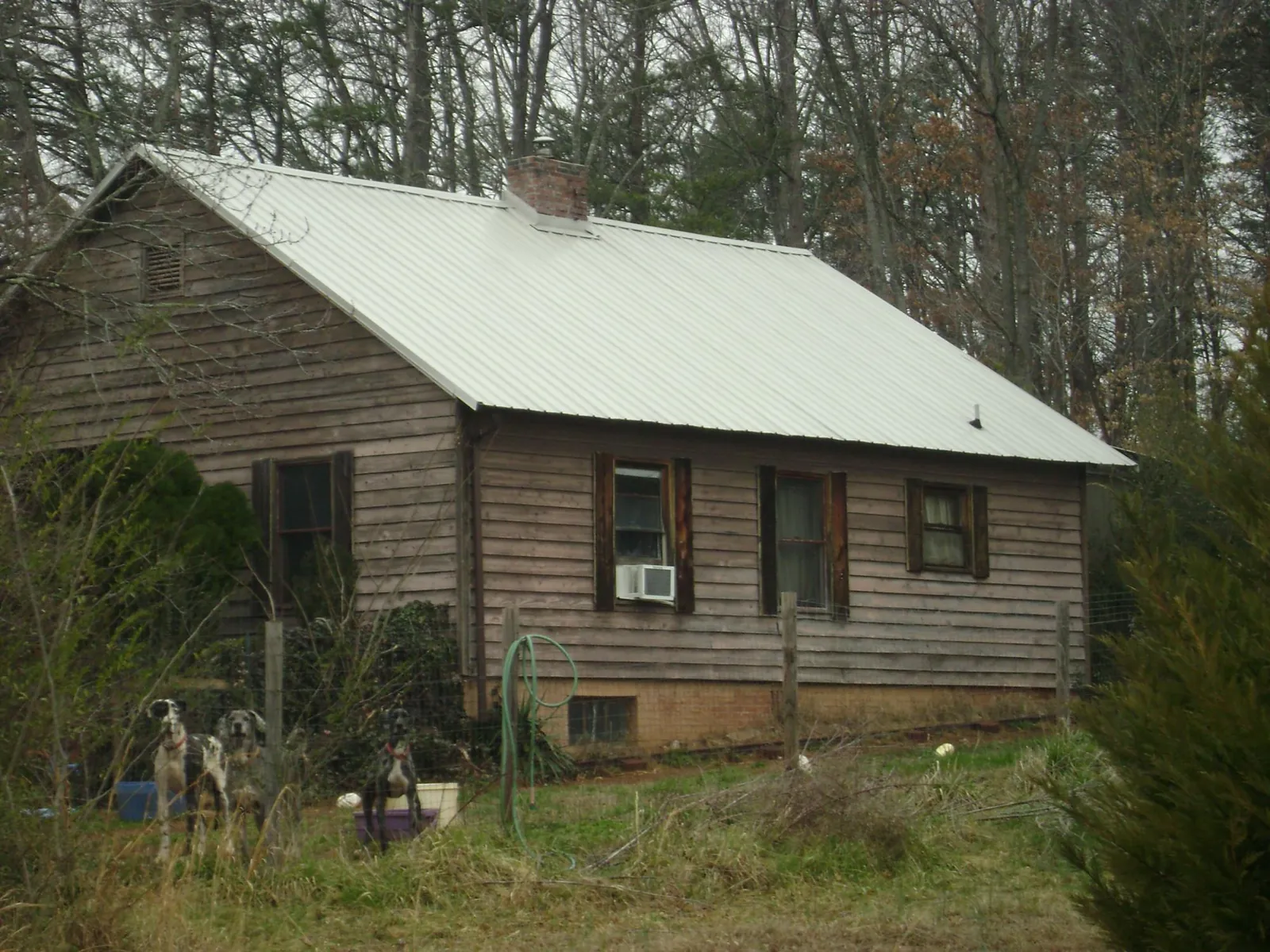 White metal roof on an old wood sided farmhouse, from a Metal Roof Installation job in Big Piney